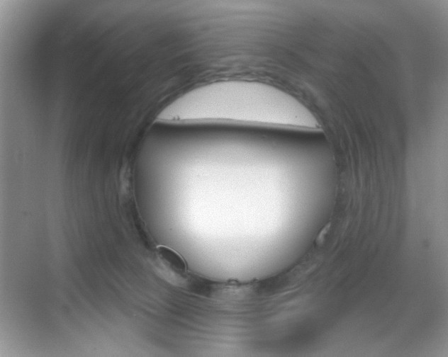 X0000069400081200605121034