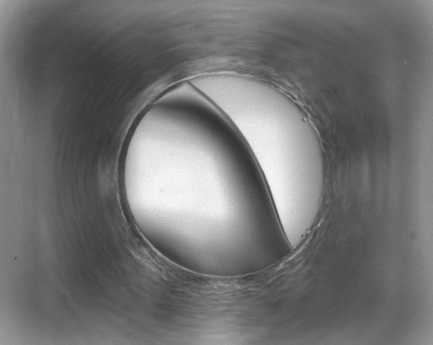 X0000069400099200605121033