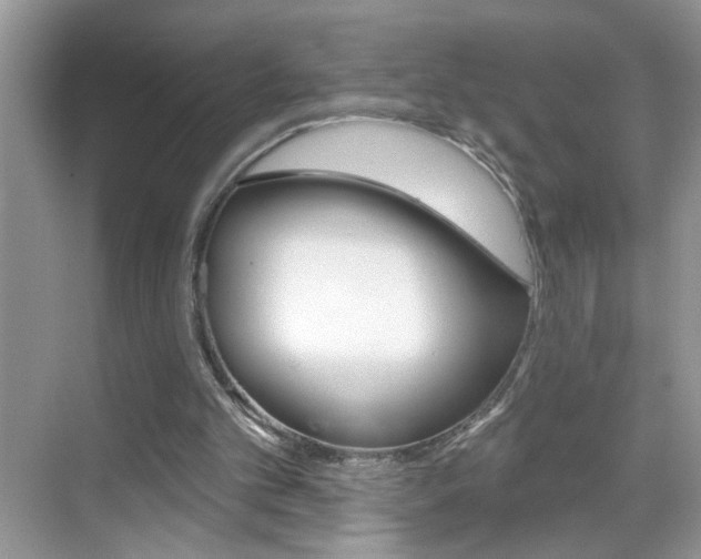 X0000069400101200605121033