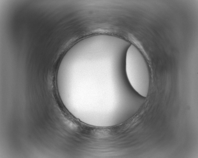 X0000069400106200605121033