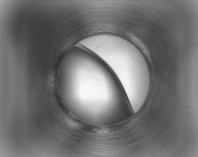 X0000069400113200605121033