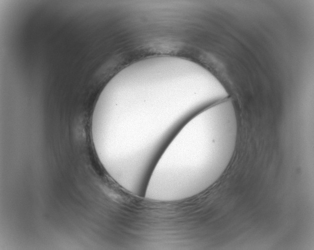 X0000069400114200605121033