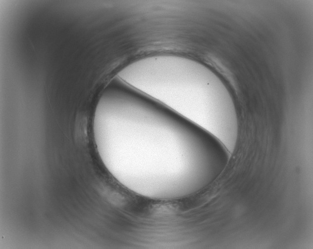 X0000069400115200605121033