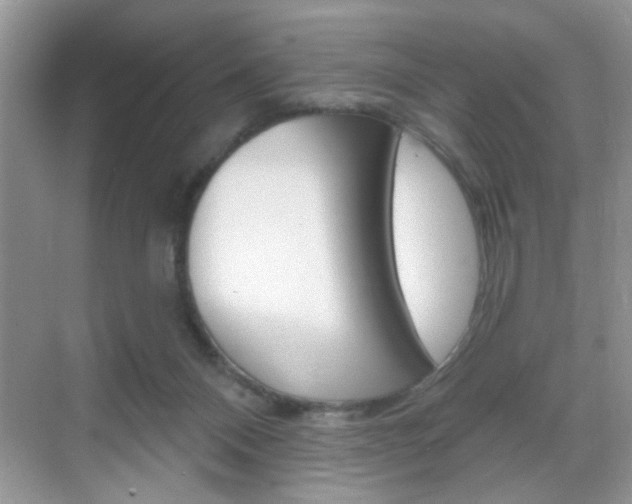 X0000069400120200605121033