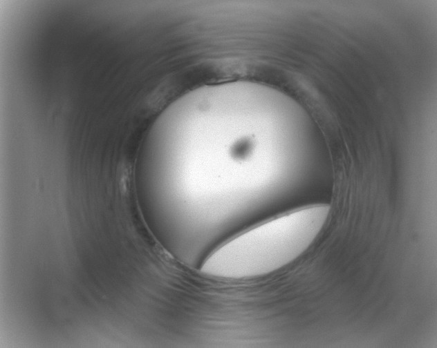 X0000069400125200605121033