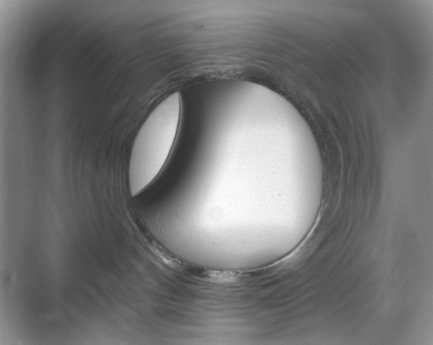 X0000069400144200605121033