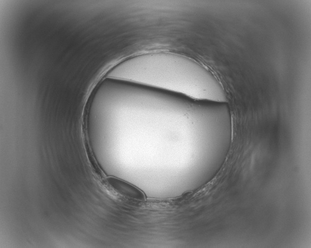 X0000069400147200605121032