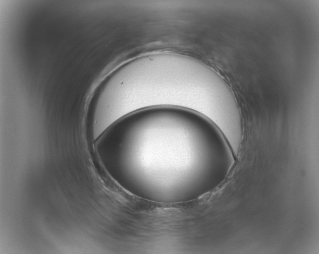 X0000069400150200605121032