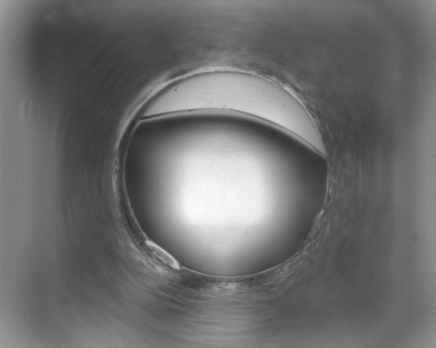X0000069400152200605121032