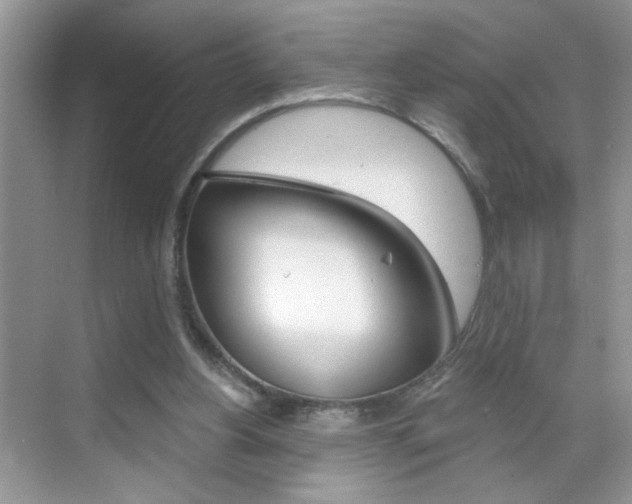 X0000069400156200605121032