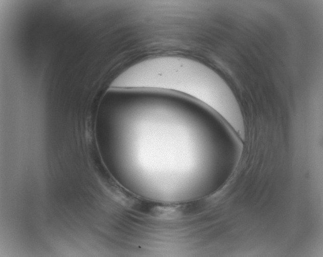 X0000069400170200605121032