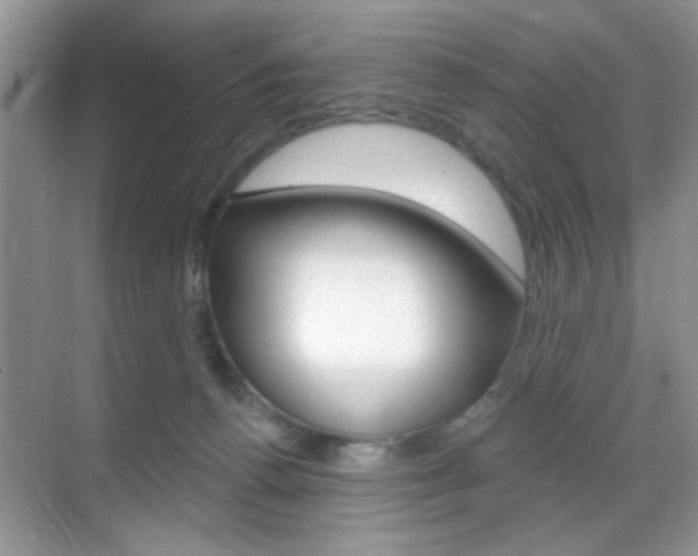 X0000069400176200605121032