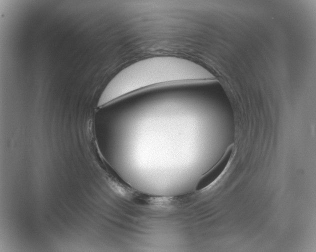 X0000069400192200605121033