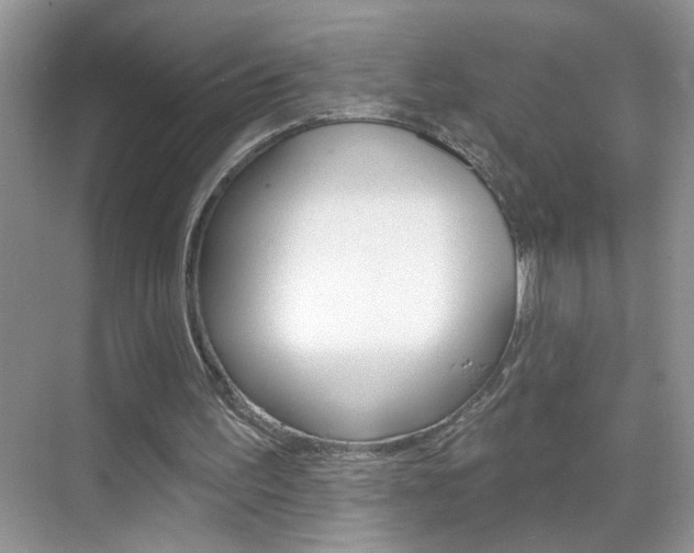 X0000069400195200605121032