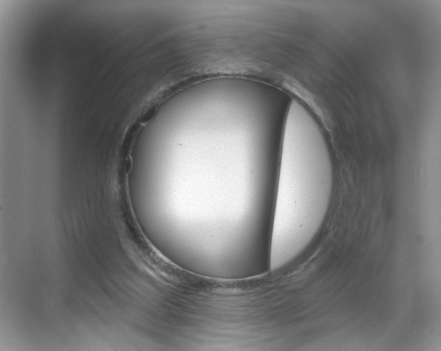 X0000069400203200605121032