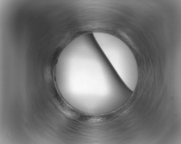 X0000069400213200605121031