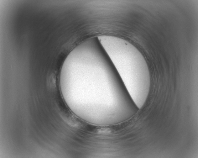 X0000069400214200605121031