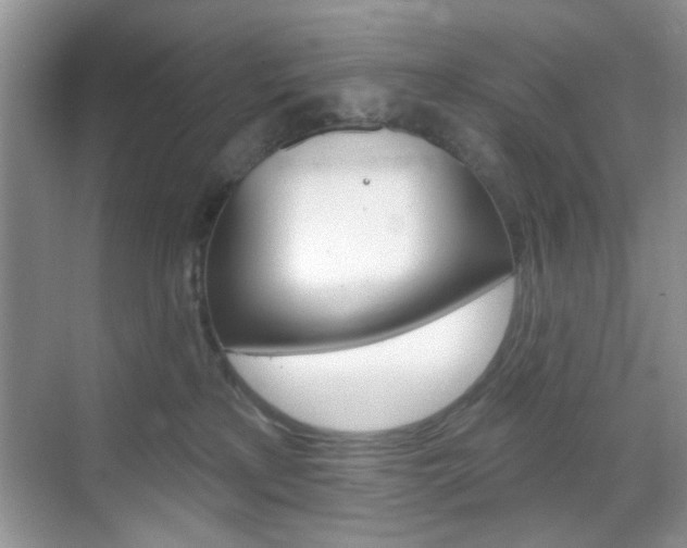 X0000069400233200605121031