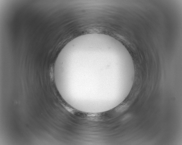 X0000069400240200605121031