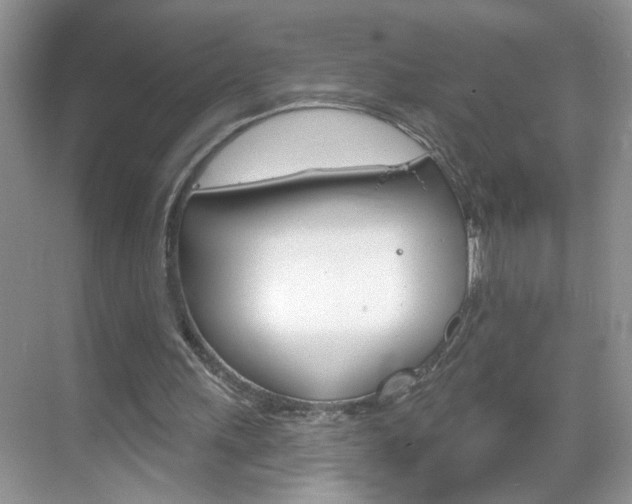 X0000069400243200605121030