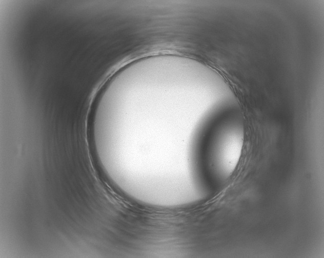 X0000069400244200605121030