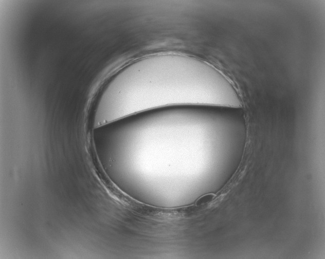 X0000069400245200605121030