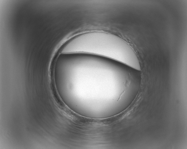 X0000069400246200605121030