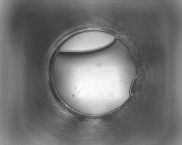 X0000069400247200605121030