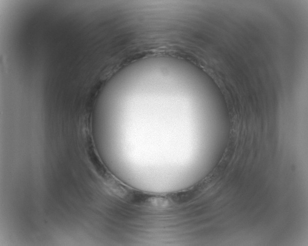 X0000069400272200605121031
