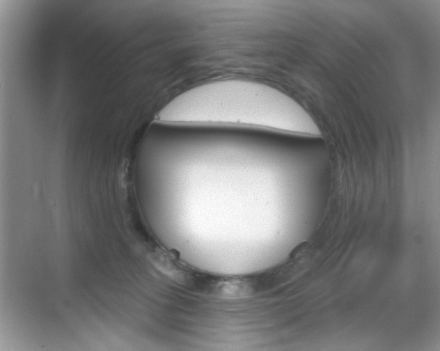 X0000069400275200605121031