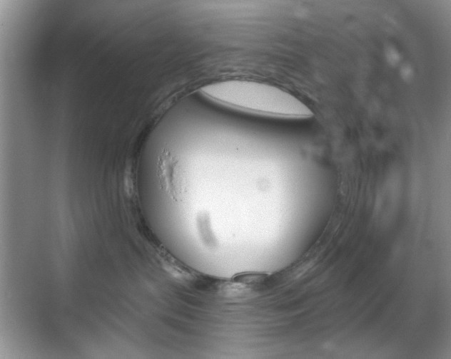 X0000069400287200605121031