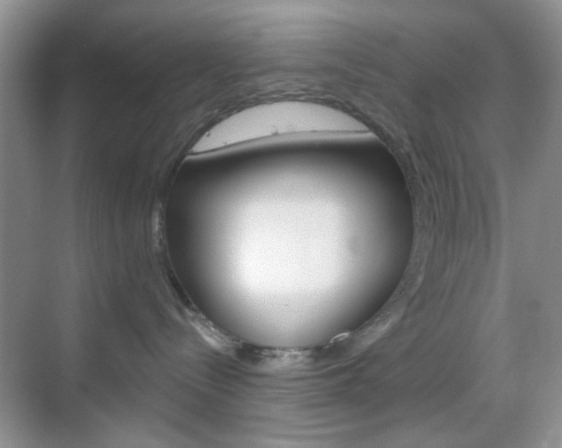 X0000069400288200605121031