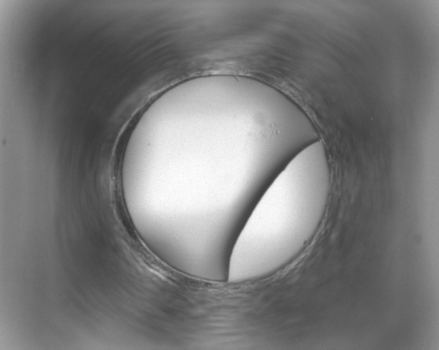 X0000069400290200605121030
