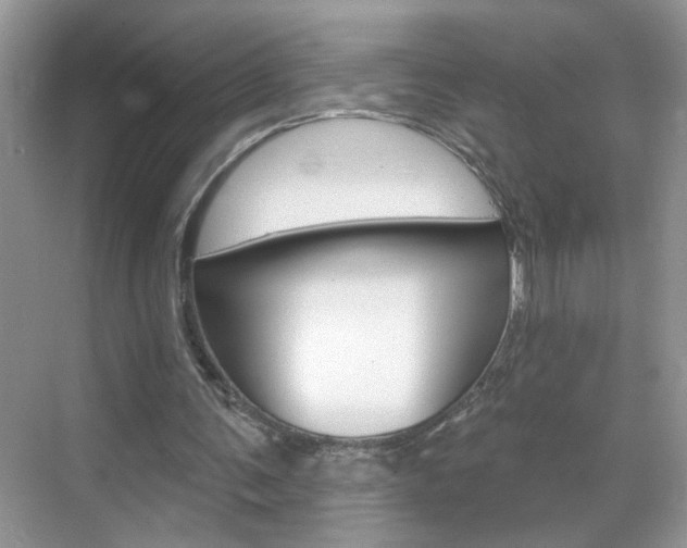 X0000069400291200605121030