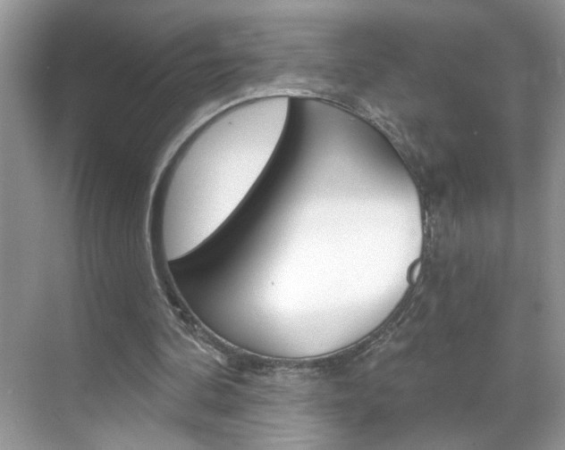 X0000069400292200605121030