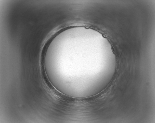 X0000069400296200605121030