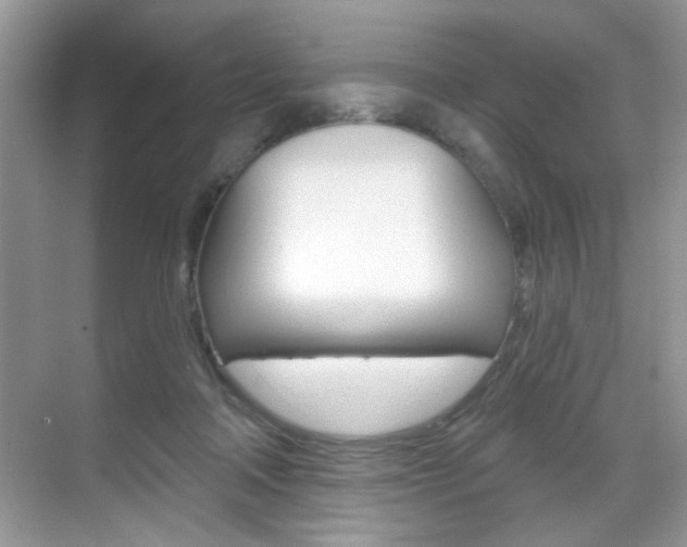X0000069400314200605121030