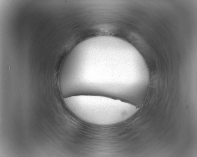 X0000069400318200605121030