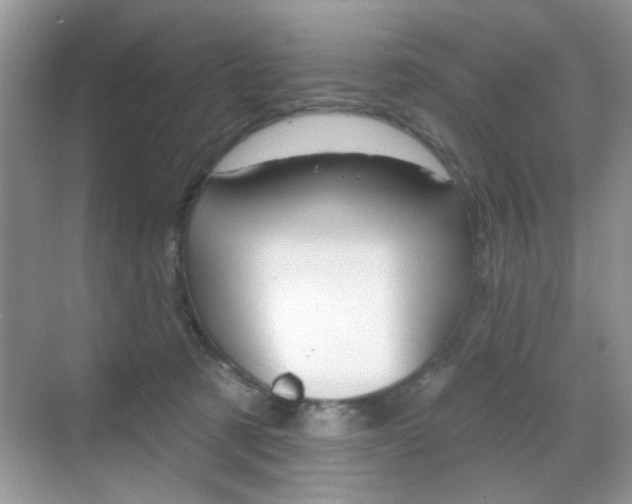 X0000069400321200605121030