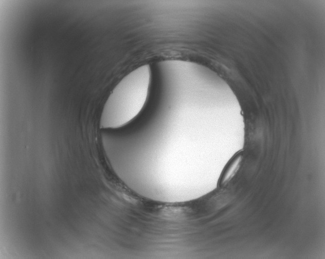 X0000069400332200605121029
