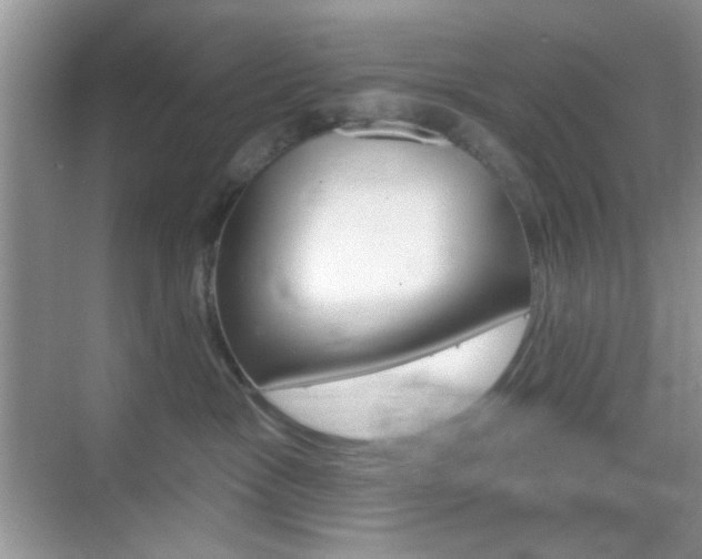 X0000069400333200605121029