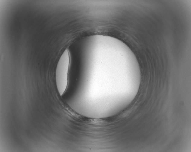 X0000069400336200605121029