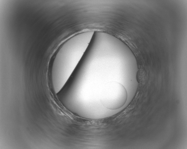 X0000069400338200605121029