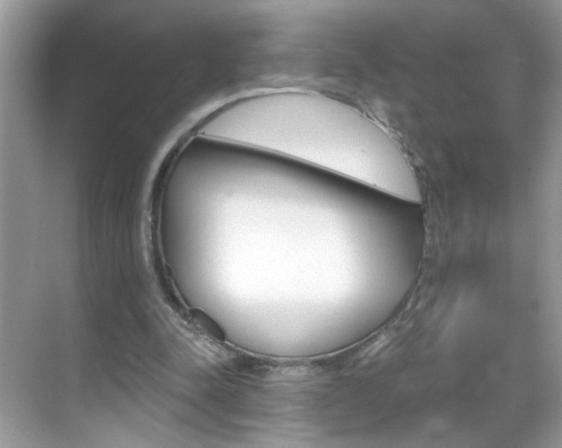 X0000069400342200605121029