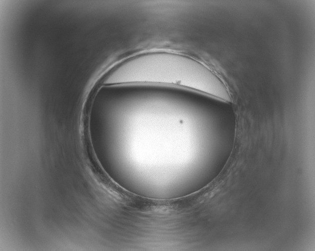 X0000069400344200605121029