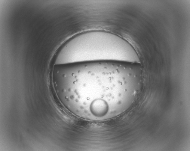 X0000069400346200605121029