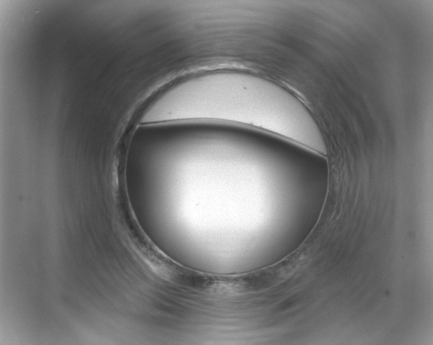 X0000069400350200605121029