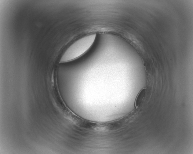 X0000069400358200605121029