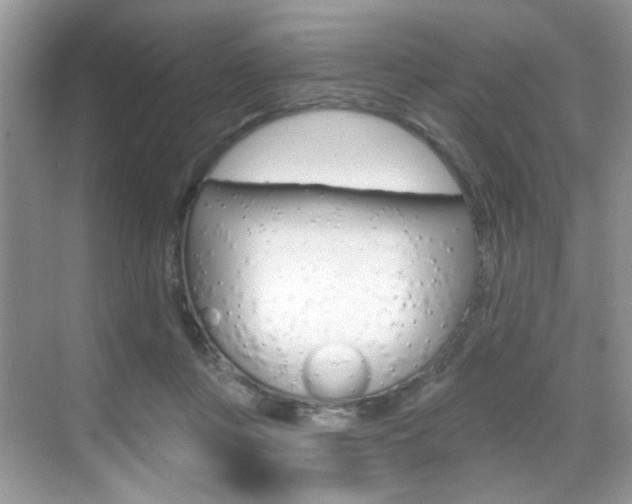 X0000069400359200605121029