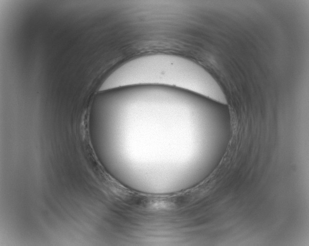 X0000069400360200605121029